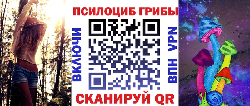 Псилоцибиновые грибы прущие грибы  Малая Вишера 